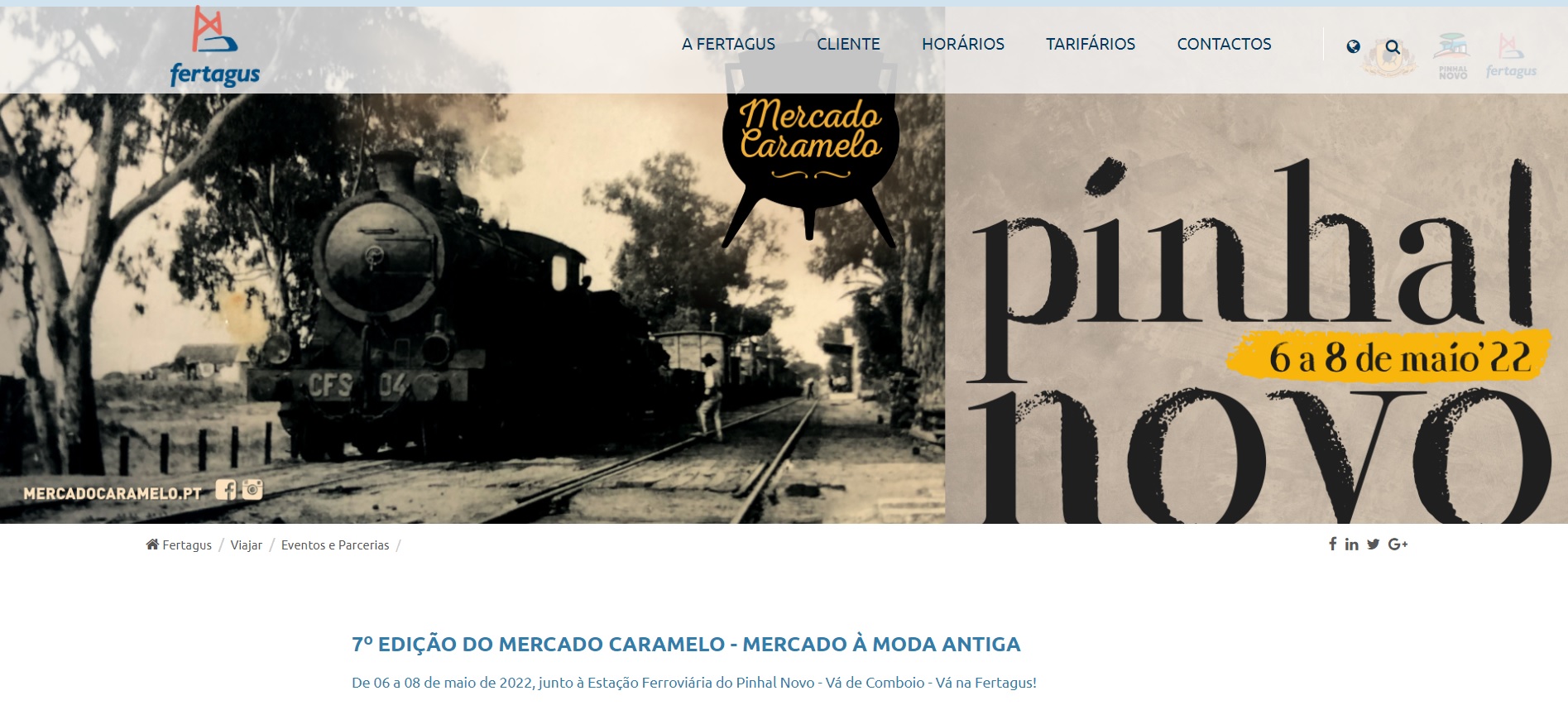 Noticia 29